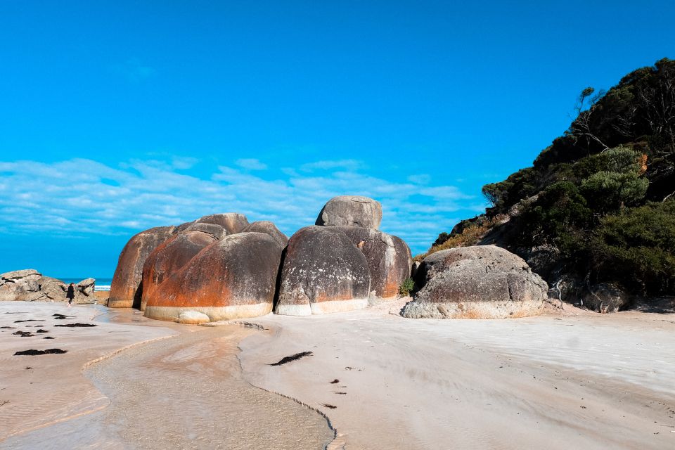 1 from melbourne wilsons promontory day tour From Melbourne: Wilsons Promontory Day Tour