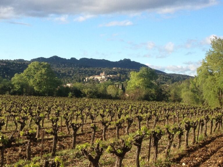 From Montpellier: Pic Saint-Loup Wine and Food Tour