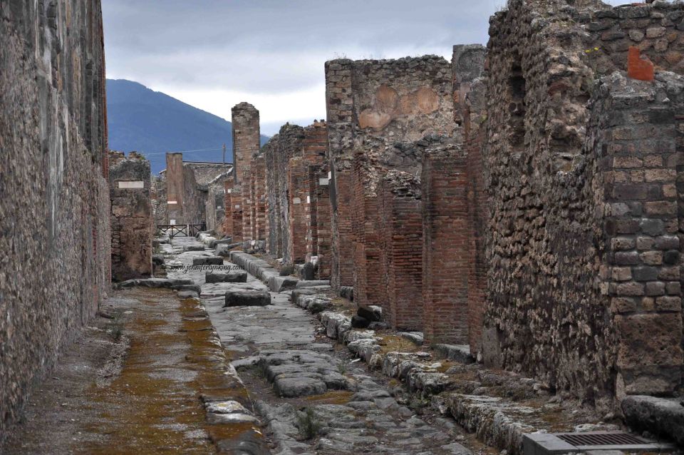 1 from naples private guided tour of pompeii From Naples: Private Guided Tour of Pompeii