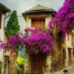 1 from nice provence and its medieval villages full day tour From Nice: Provence and Its Medieval Villages Full-Day Tour