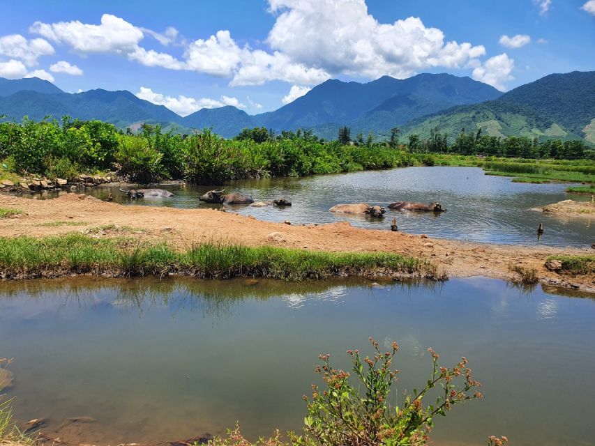 From Ninh Binh : Hue – Hoi An Easyrider , Hai Van Pass