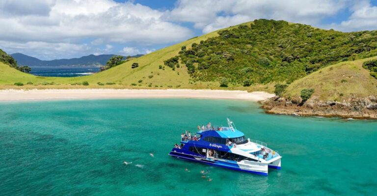 From Paihia: Cream Trip Full-Day Cruise to Bay of Islands