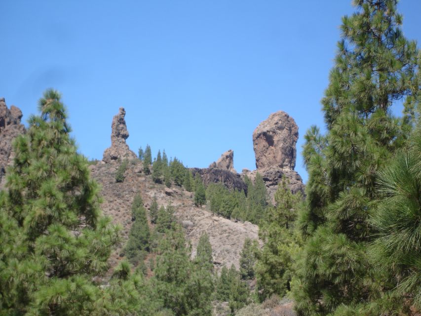 1 from palmas pico de las nieves roque nublo full day trip From Palmas: Pico De Las Nieves & Roque Nublo Full-Day Trip