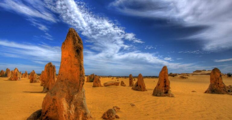 From Perth: Pinnacle Desert, Yanchep, & Swan Valley Day Tour