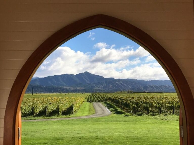 From Picton: Private Wine and Gourmet Tour of Marlborough