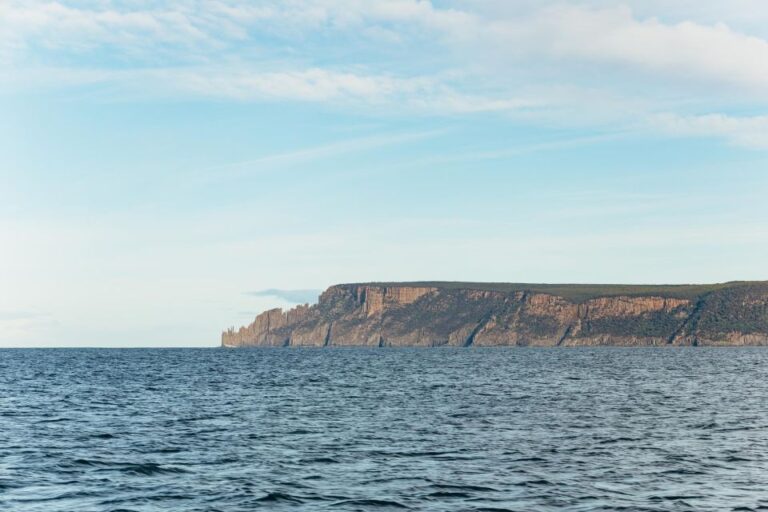 From Port Arthur: Tasman Island Wilderness Cruise