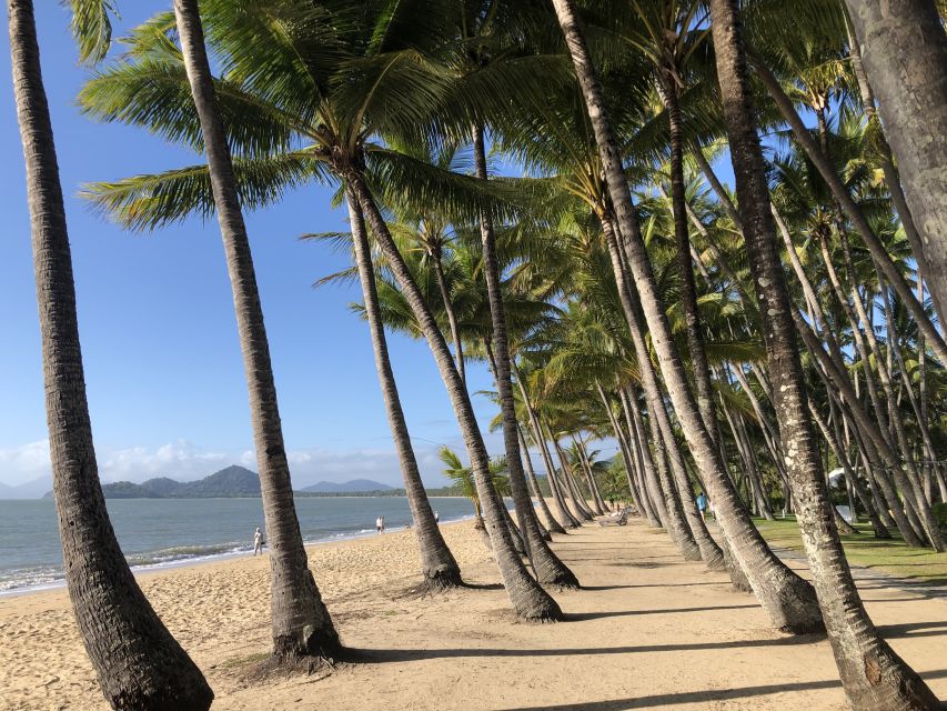 1 from port douglas kuranda via scenic rail or skyrail option From Port Douglas: Kuranda via Scenic Rail or Skyrail Option