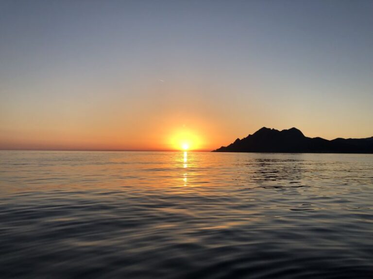 From Porto: Piana Creeks and Scandola Semi-Rigid Boat Tour