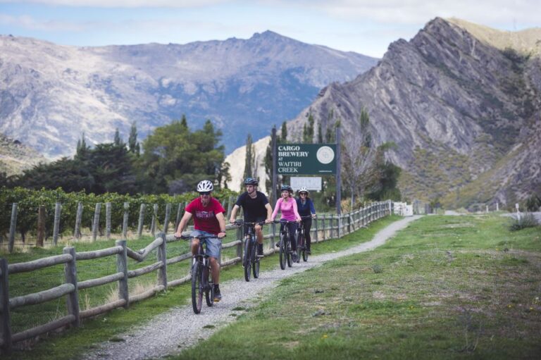 From Queenstown: Self-Guided Wineries Bike Tour