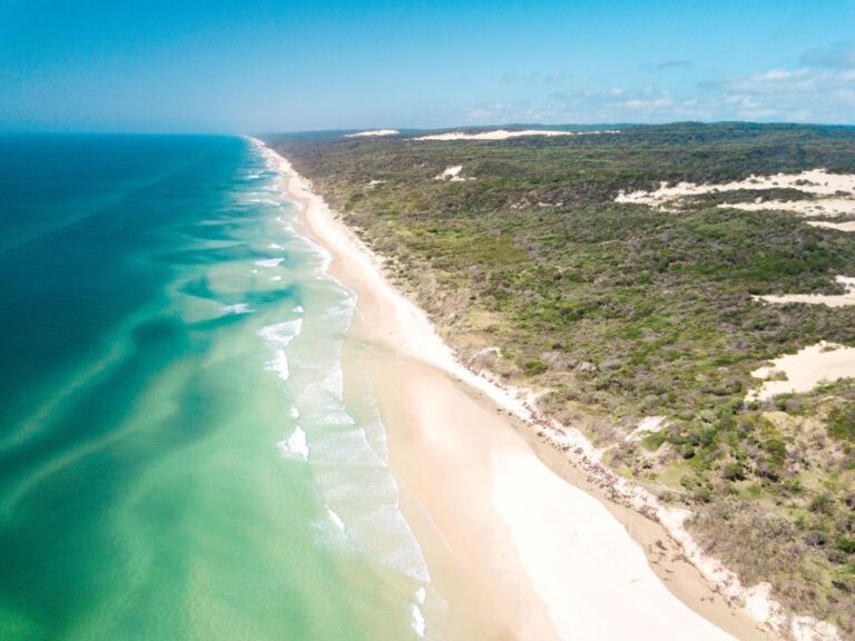 From Rainbow Beach: K’gari Fraser Island Full-Day Coach Tour