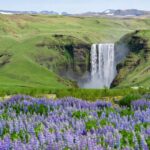 1 from reykjavik private south coast tour From Reykjavik: Private South Coast Tour