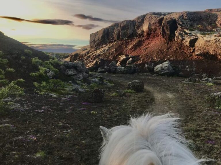 From Reykjavik: Small-Group Horse Riding Tour With Pickup