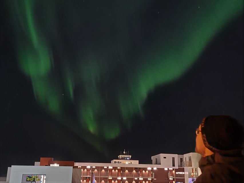 1 from reykjavik spot the northern lights with snacks drink From Reykjavík: Spot the Northern Lights With Snacks & Drink