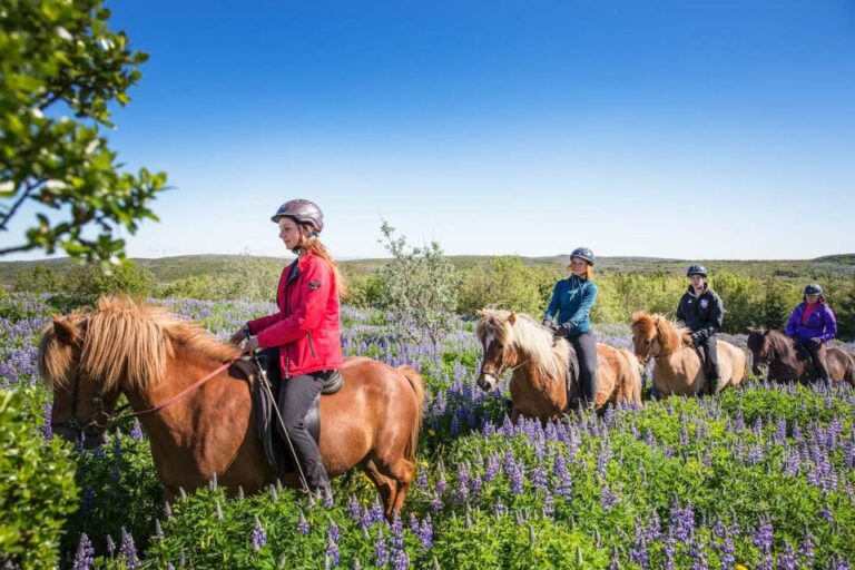 From Reykjavík: Viking Horseback Tour in Hafnarfjörður