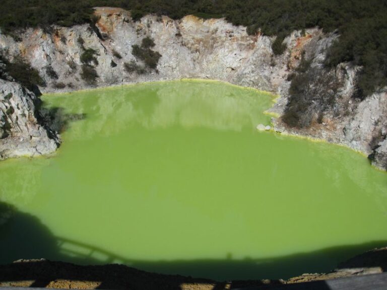 From Rotorua: Wai O Tapu & Waimangu Eco Thermal Morning Tour