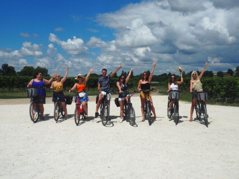 From Saint-Emilion : Half Day Electric Bike Tour