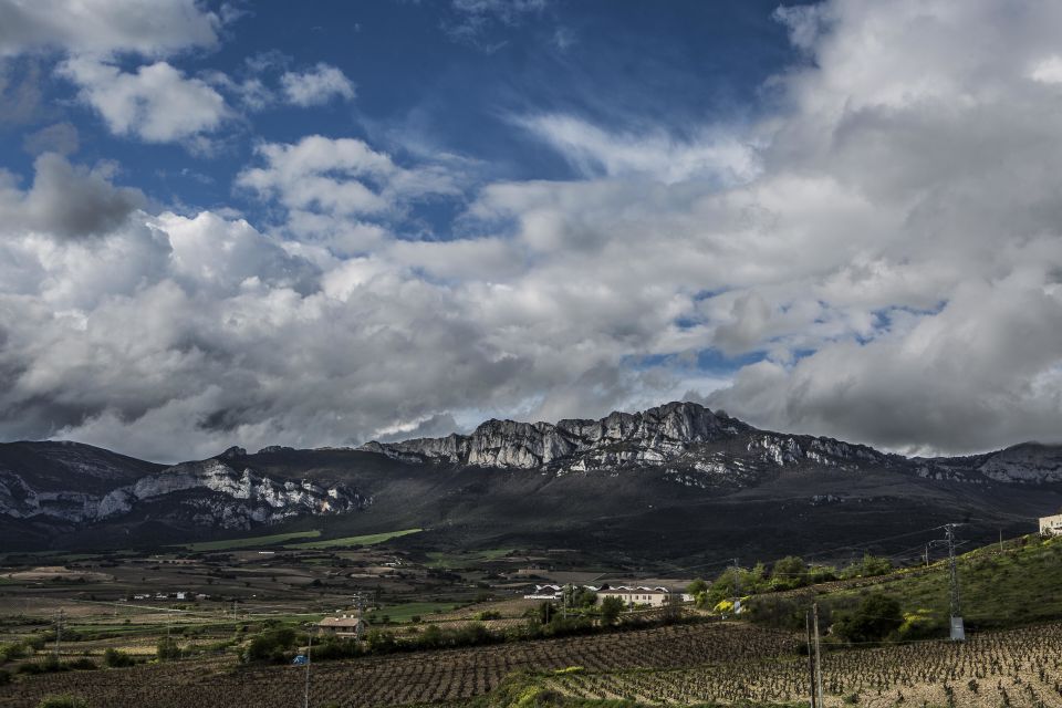 1 from san sebastian bilbao vitoria la rioja wineries tour From San Sebastian/Bilbao/Vitoria: La Rioja Wineries Tour