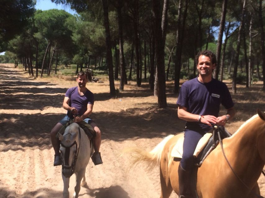 From Seville: 1.5H Horseback Riding Experience in Aljarafe - Customer Reviews