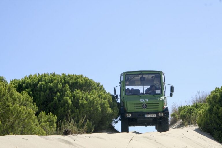 From Seville: Doñana Natural Park, El Rocio and Matalascañas