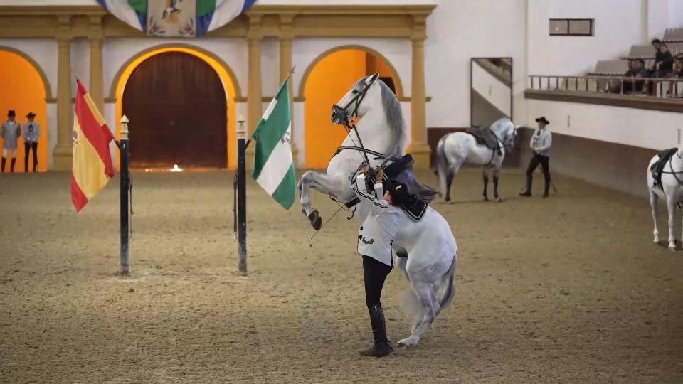 1 from seville jerez cadiz and andalusian horses From Seville: Jerez, Cádiz and Andalusian Horses