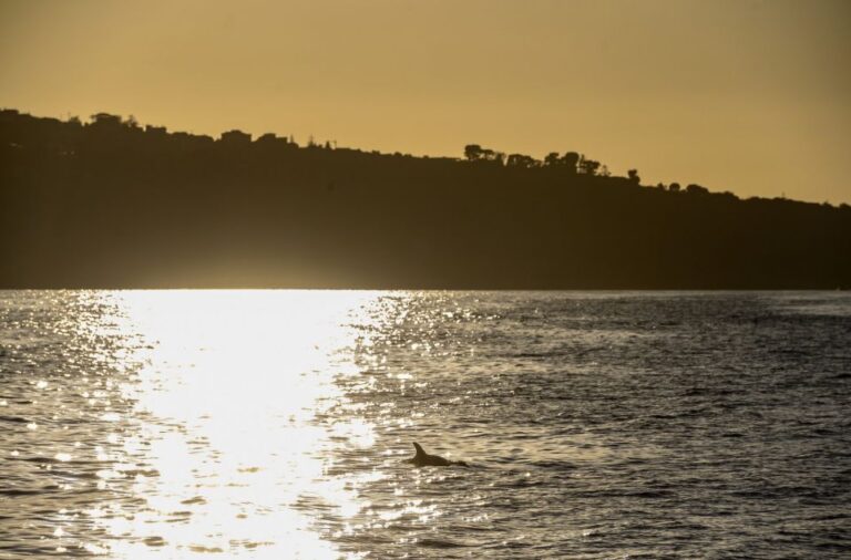 From Sorrento: Sorrento Coast Sunset Cruise