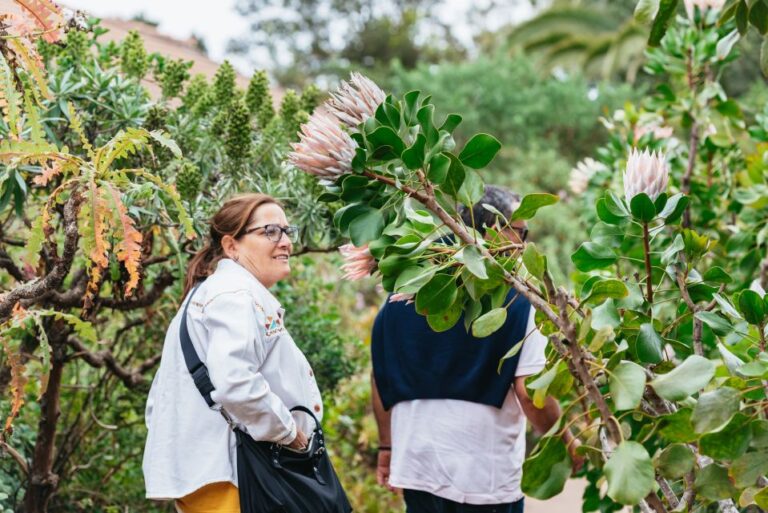 From South Tenerife: La Gomera Island Day Trip With Lunch