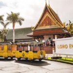 1 from south tenerife loro park zoo ticket hotel transfers From South Tenerife: Loro Park Zoo Ticket & Hotel Transfers