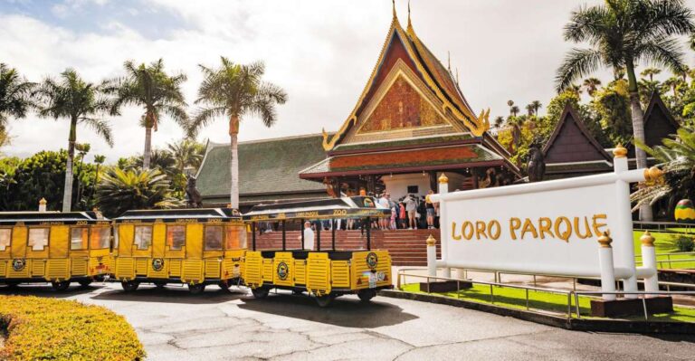 From South Tenerife: Loro Park Zoo Ticket & Hotel Transfers