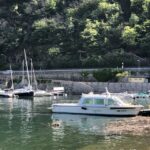 1 from stresa baveno verbania pallanza and island boat tour From Stresa/Baveno: Verbania Pallanza and Island Boat Tour