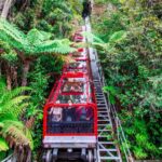 1 from sydney blue mountains scenic world zoo ferry tour From Sydney: Blue Mountains, Scenic World, Zoo, & Ferry Tour