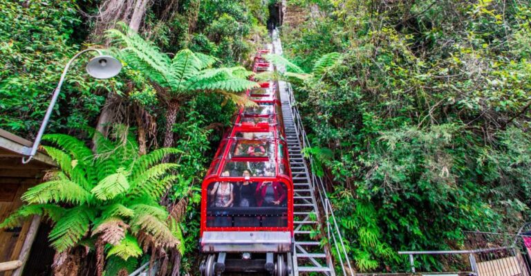 From Sydney: Blue Mountains, Scenic World, Zoo, & Ferry Tour