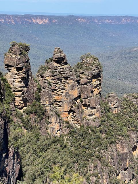 1 from sydney blue moutains and featherdale day tour From Sydney: Blue Moutains and Featherdale Day Tour