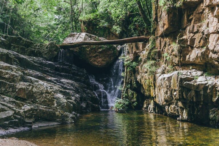 From Sydney Private Blue Mountains Tour Waterfalls & Views