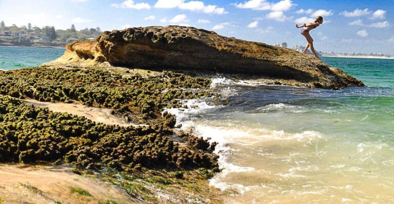 From Sydney: Sea Cliff Bridge, Beaches, and Farmlands Tour