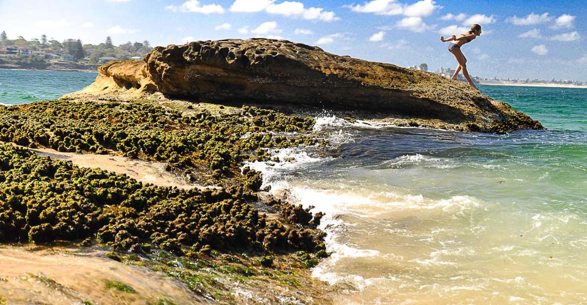 1 from sydney sea cliff bridge beaches and farmlands tour From Sydney: Sea Cliff Bridge, Beaches, and Farmlands Tour