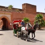 1 from taghazout or agadir marrakech guided day trip 3 From Taghazout or Agadir: Marrakech Guided Day Trip