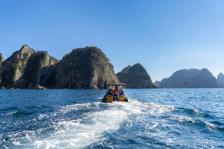 From Tairua: Coromandel Peninsula Guided Scenic Cruise