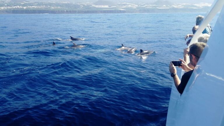 From Tazacorte: Fast Yacht Tour of La Palma