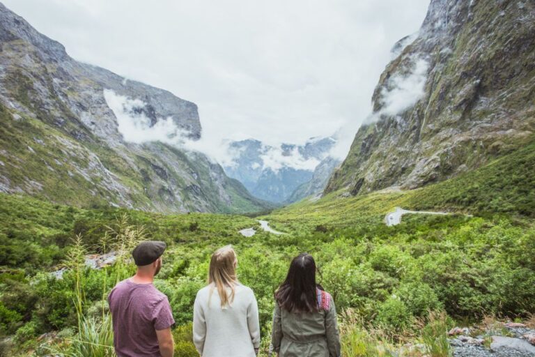 From Te Anau: Milford Sound Coach Tour and Cruise