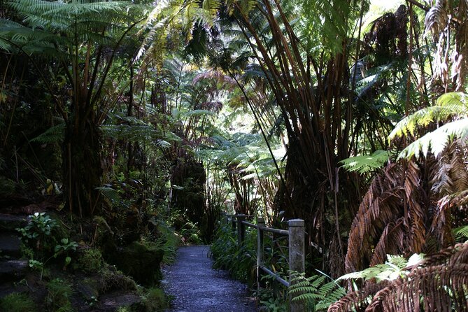 From the Big Island: Hawaii Volcanoes National Park Experience