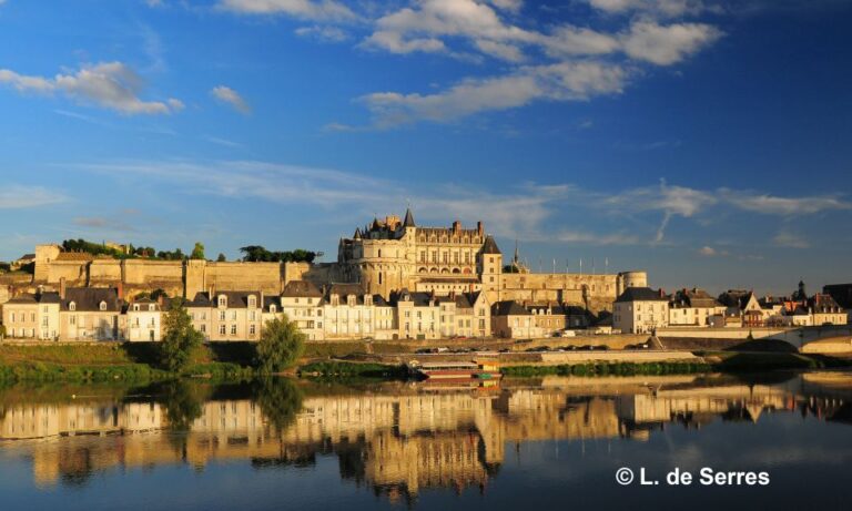 From Tours/Amboise: Chenonceau & Chambord Chateaux Day Trip