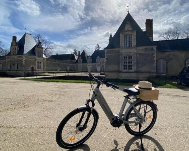 From Tours: Full-Day Guided E-Bike Tour to Chambord