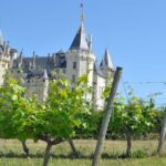 1 from tours loire valley wineries day trip with tastings From Tours: Loire Valley Wineries Day Trip With Tastings