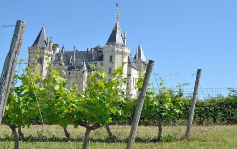 From Tours: Loire Valley Wineries Day Trip With Tastings
