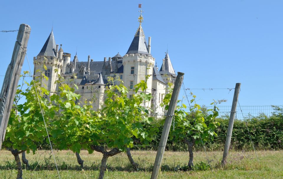 1 from tours loire valley wineries day trip with tastings From Tours: Loire Valley Wineries Day Trip With Tastings