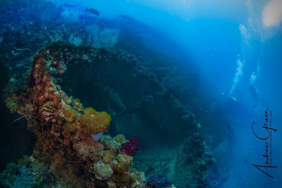 1 from townsville or magnetic island yongala wreck dive trip From Townsville or Magnetic Island: Yongala Wreck Dive Trip