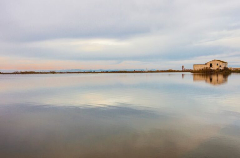 From Valencia: Albufera Day Trip With Boat Tour and Transfer