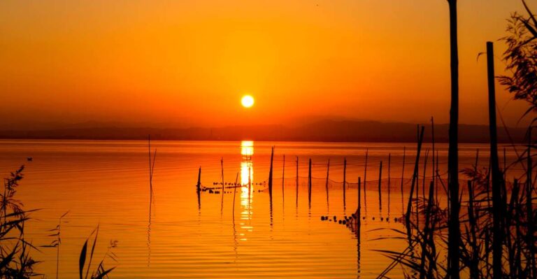 From Valencia: Albufera Natural Park With Sunset Experience