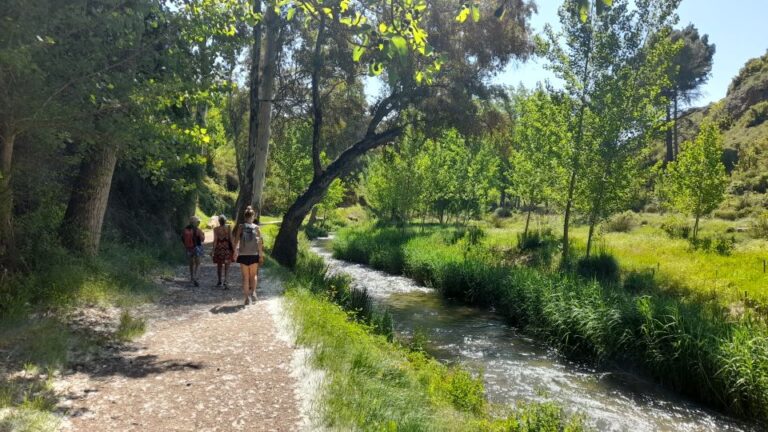 From Valencia: Peña Cortada Aqueduct Hiking Day Tour