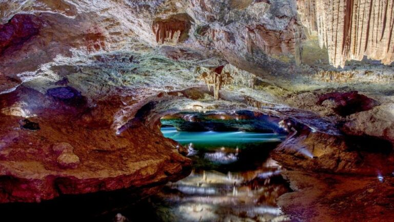 From Valencia: Private Half Day-Trip to Cuevas De San José